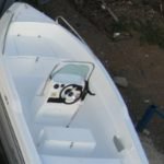 olympic boats 4,90 fx lüx fiber tekne